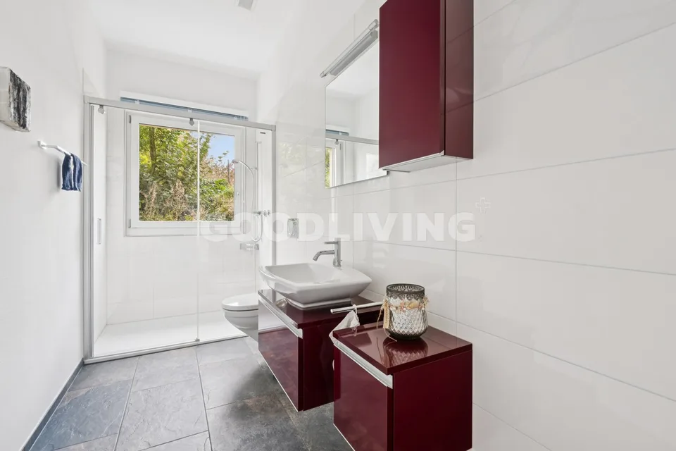 You're looking for a lake and mountain view? We have your dream object for you!