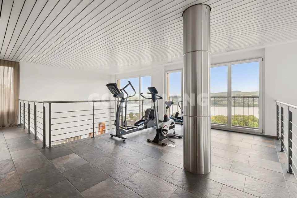 You're looking for a lake and mountain view? We have your dream object for you!
