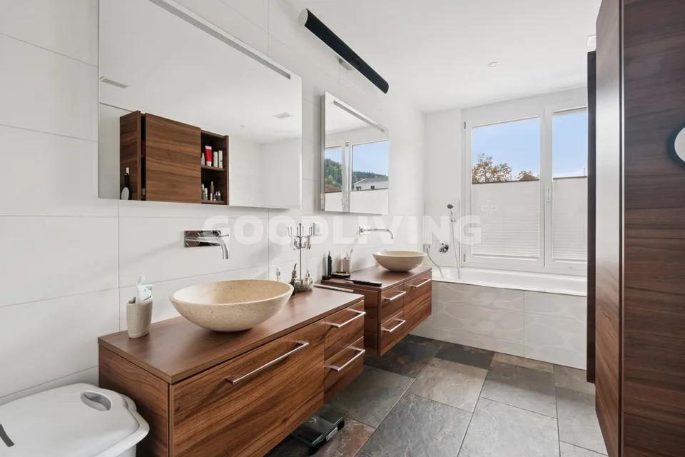 You're looking for a lake and mountain view? We have your dream object for you!