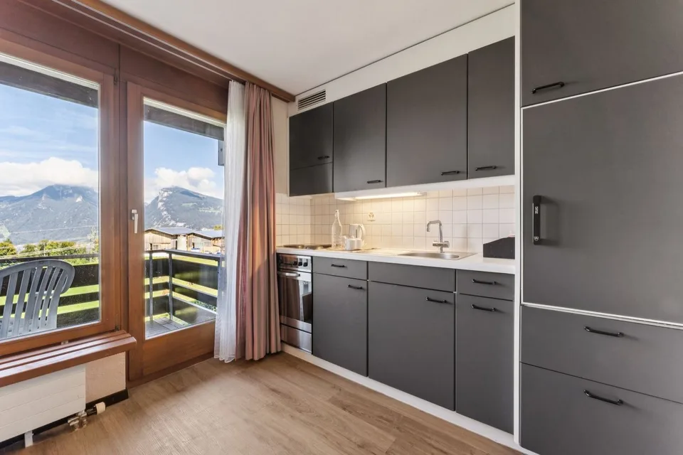 Aeschi Park Business Apartments - Spiez - Unit 307