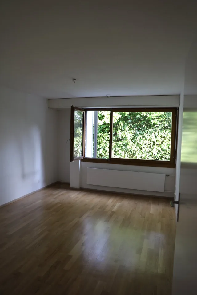 Moderne Erdgeschosswohnung mit grossem Sitzplatz