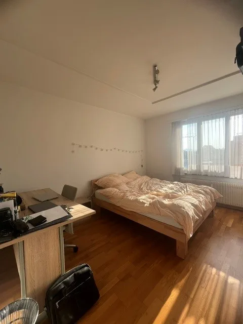 2.5-room apartment in a well-connected location