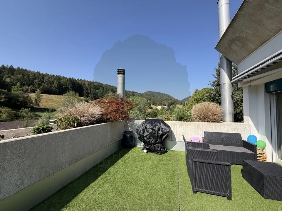 Prächtige renovierte 5,5-Zimmer-Wohnung mit Terrasse und Aussicht