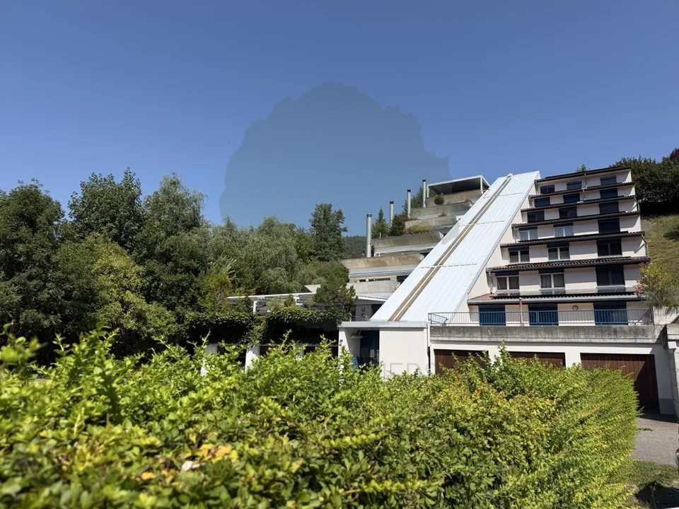 Magnifique appartement rénové de 5,5 pièces avec terrasse et vue