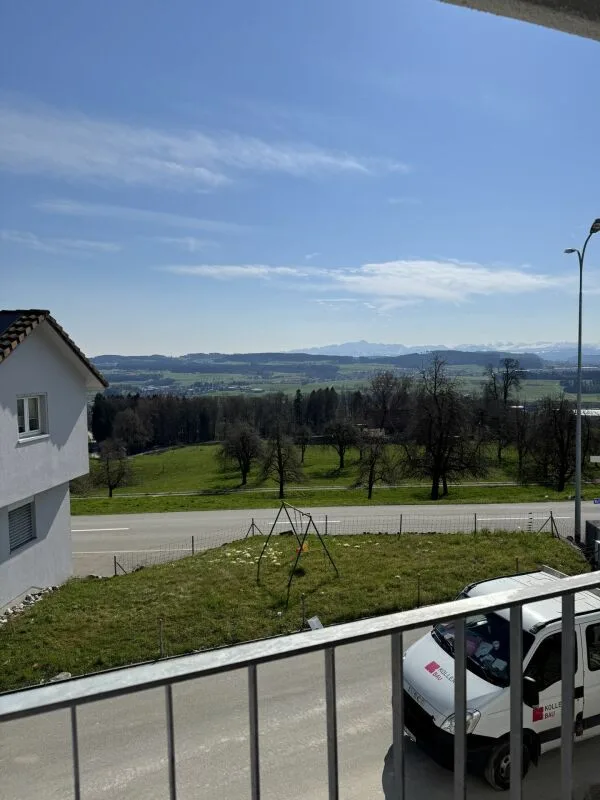 Vue des Alpes Wetzikon TG