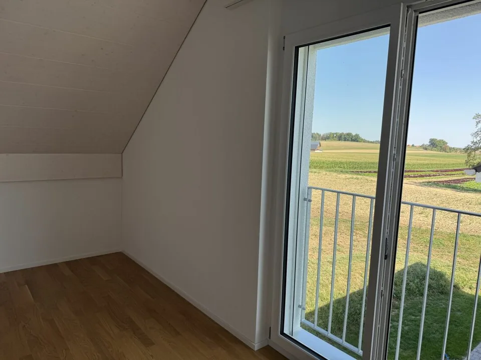 Vue des Alpes Wetzikon TG