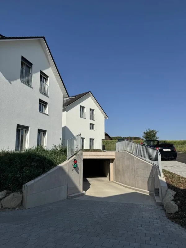 Vue des Alpes Wetzikon TG