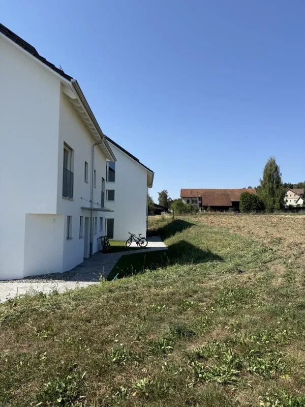 Vue des Alpes Wetzikon TG