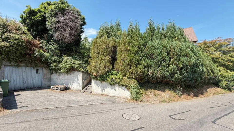 Ampia casa a schiera con giardino, box auto e potenziale di sviluppo