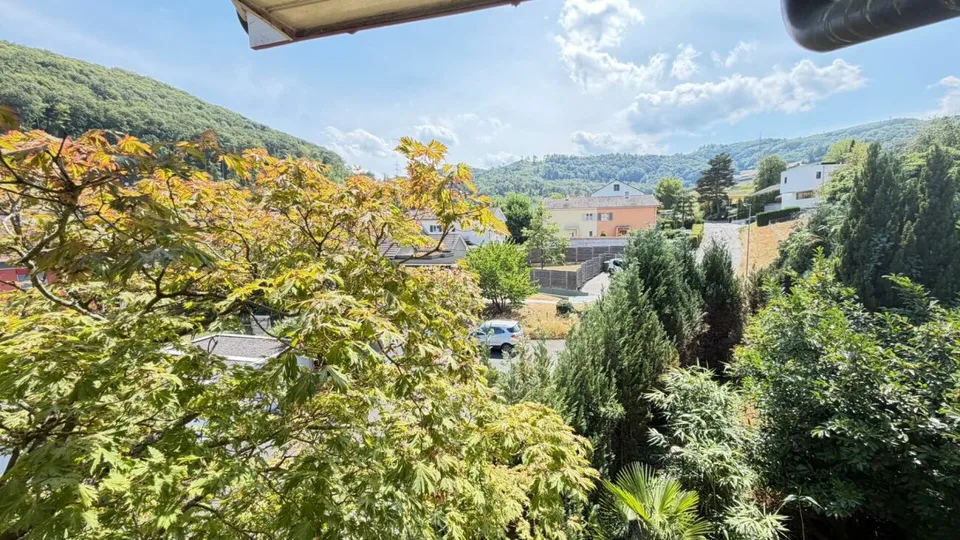 Ampia casa a schiera con giardino, box auto e potenziale di sviluppo