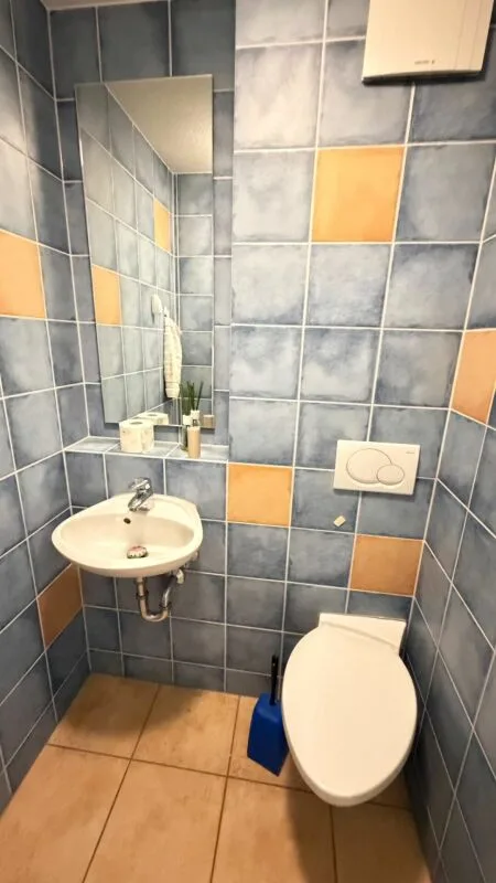 Ampia casa a schiera con giardino, box auto e potenziale di sviluppo
