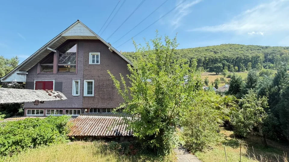 Ampia casa a schiera con giardino, box auto e potenziale di sviluppo