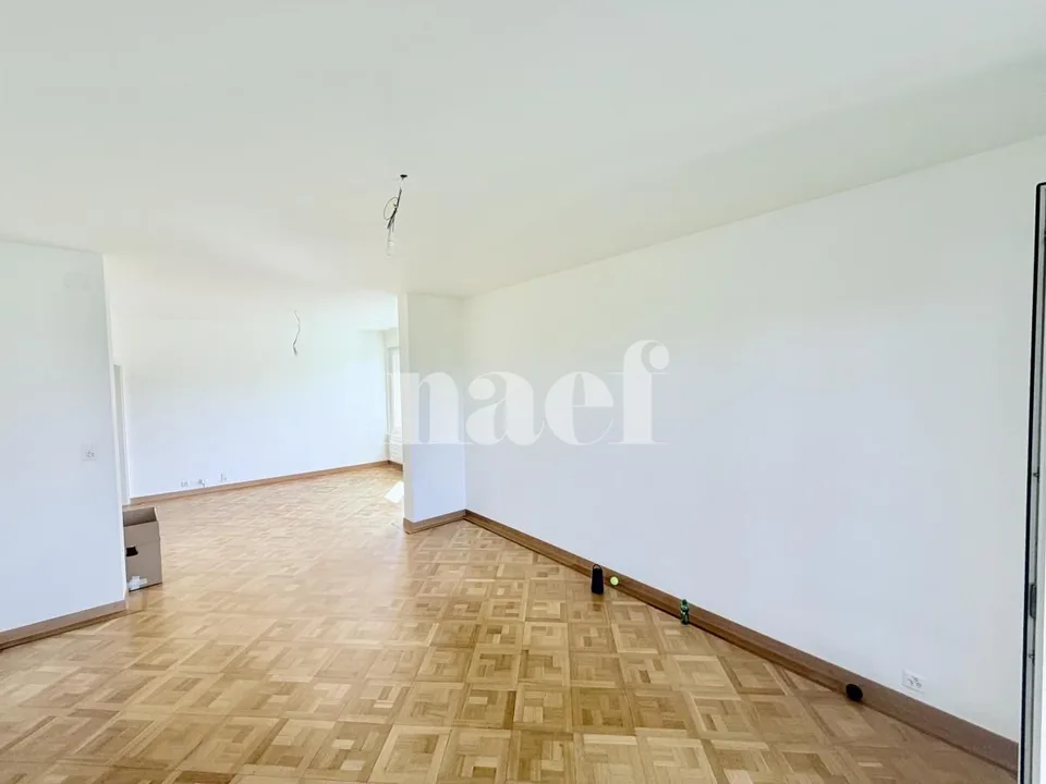 Appartement im Herzen der Perle des Sees