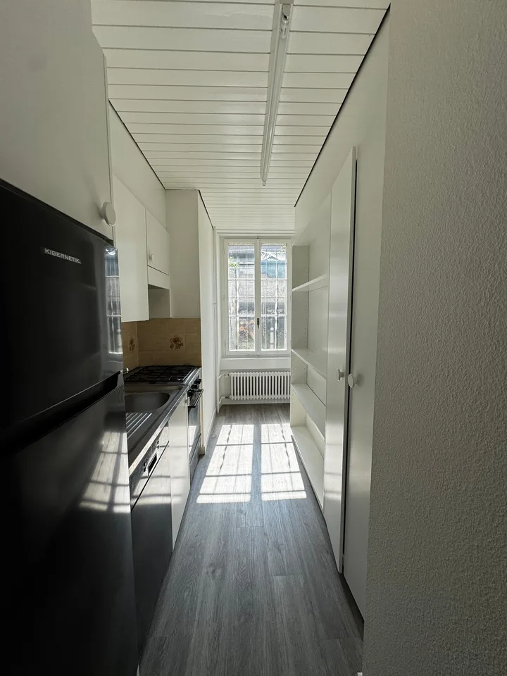 Charming 4-room apartment in an old building on Bireggstrasse, Lucerne