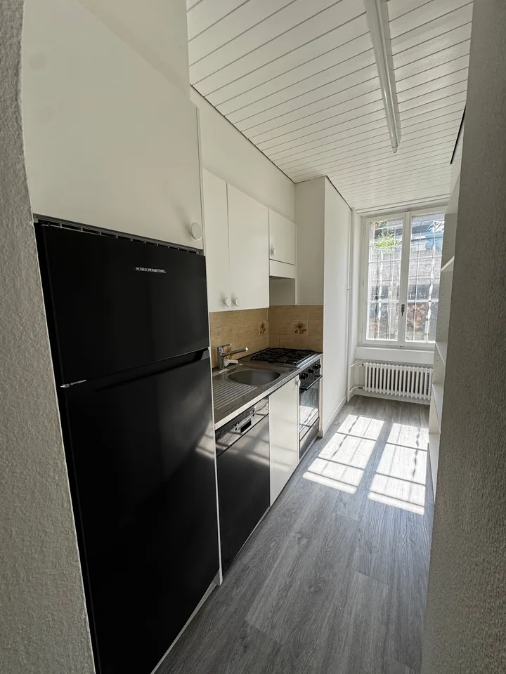 Charming 4-room apartment in an old building on Bireggstrasse, Lucerne