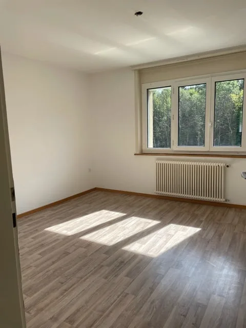 👑 Residenza 3 locali a Wünnewil-Flamatt – una storia di luce, pace e qualità della vita