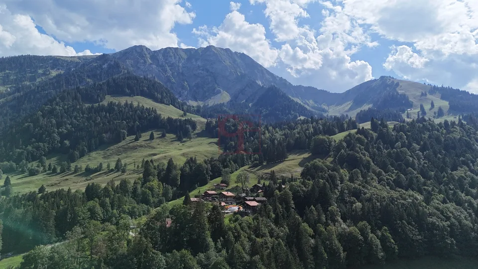10 minutes from Charmey - Two new 4.5 room apartments with alpine charm