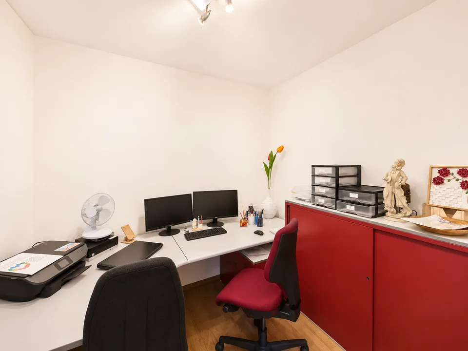 Villa moderne de 6.5 pièces avec grand jardin à Stabio