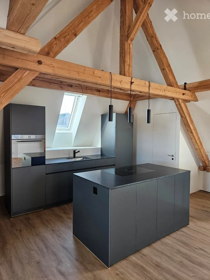 Duplex/Maisonette Apartment in Boswil