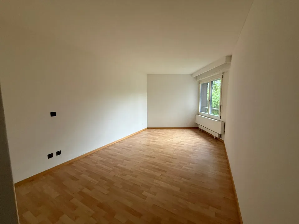 Charmante 3.5-Zimmer-Wohnung in Brunnen – sofort bezugsbereit