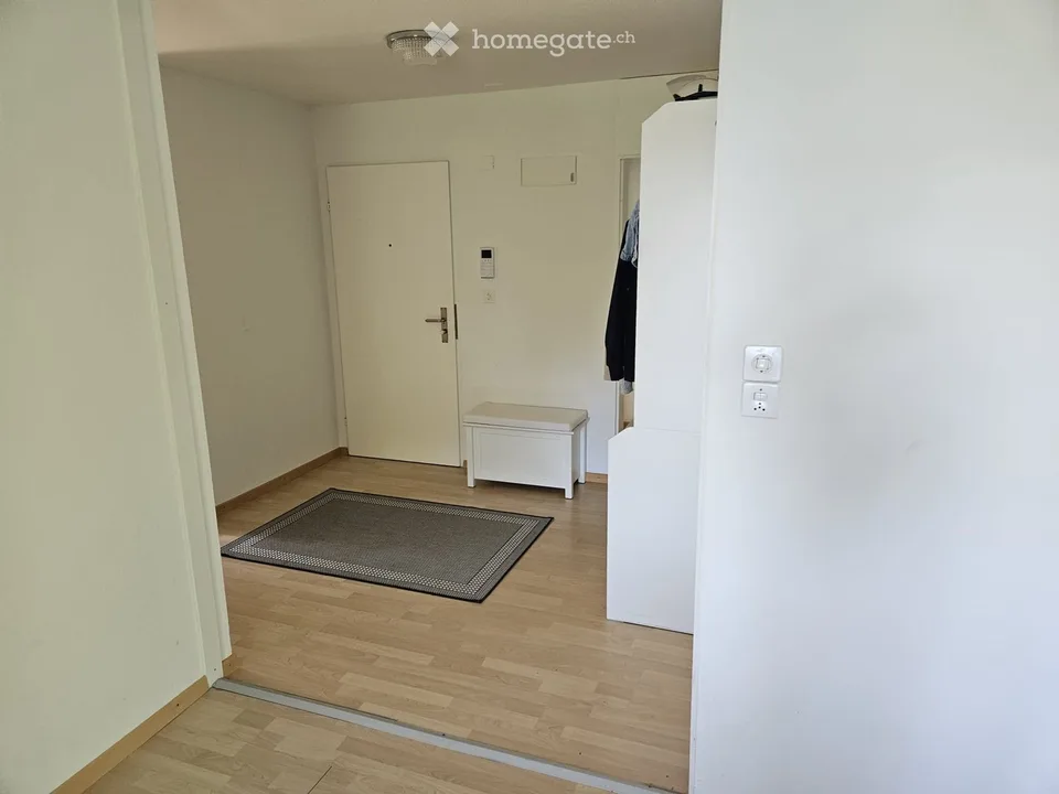 Grosse 4.5 Zimmerwohnung frisch renoviert