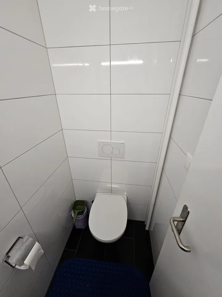 Grosse 4.5 Zimmerwohnung frisch renoviert