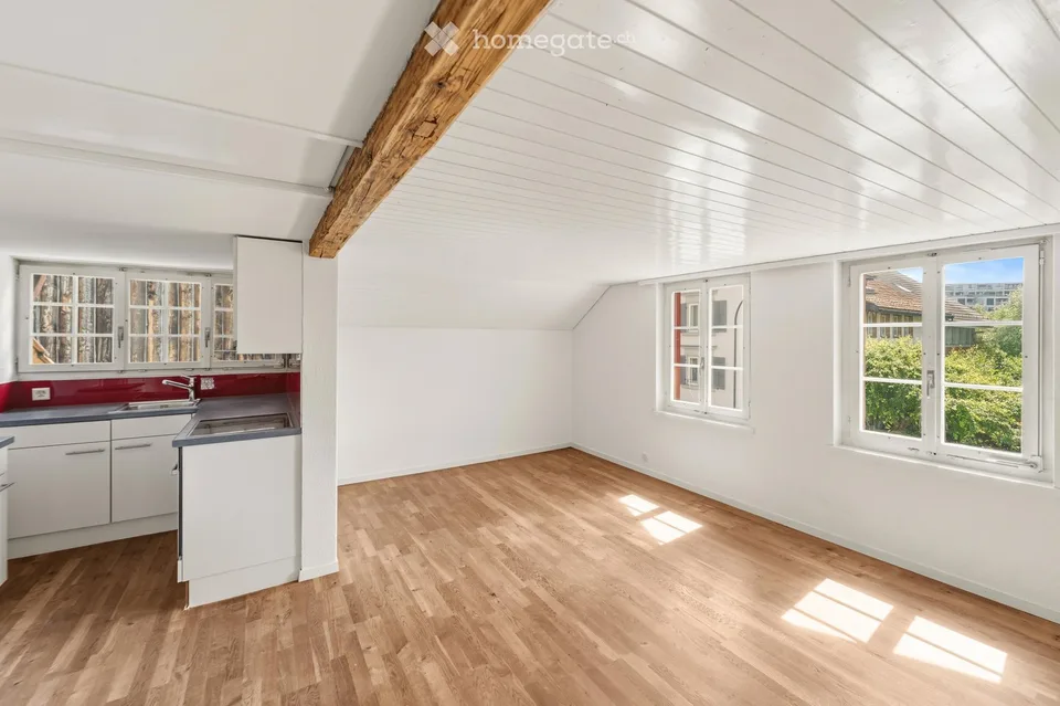 Appartamento 2.5 locali in casa Riegel