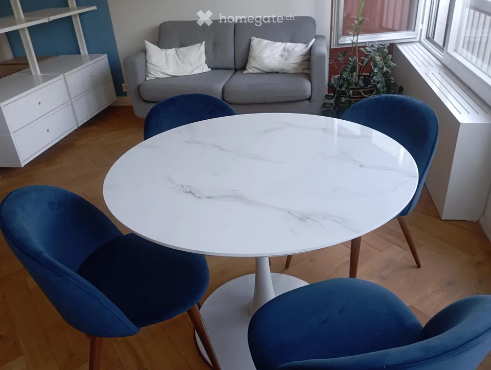 Furnished Studio of High Standard in Chêne-Bougeries