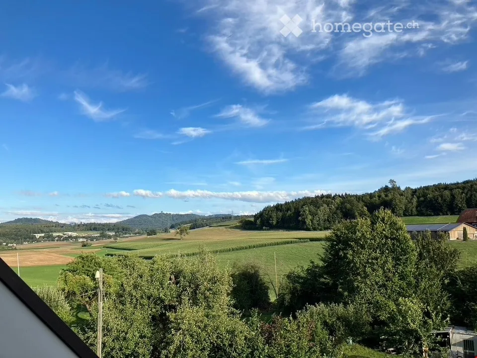 Ottimo appartamento di 3,5 locali in mansarda con balcone e vista a Berna