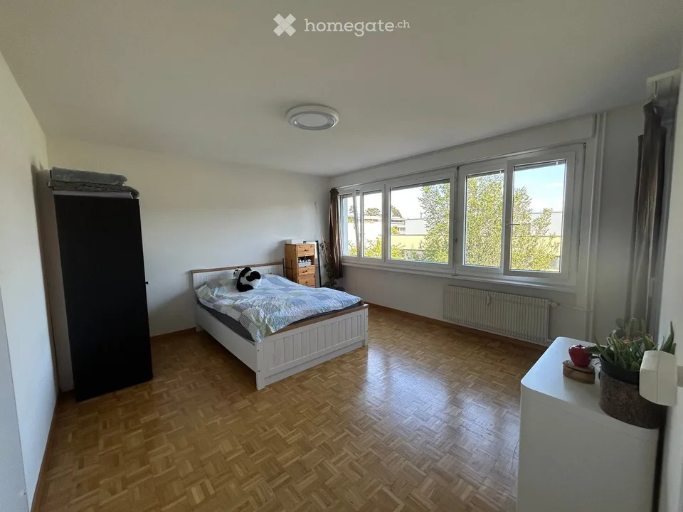 Appartement lumineux à Brügg BE