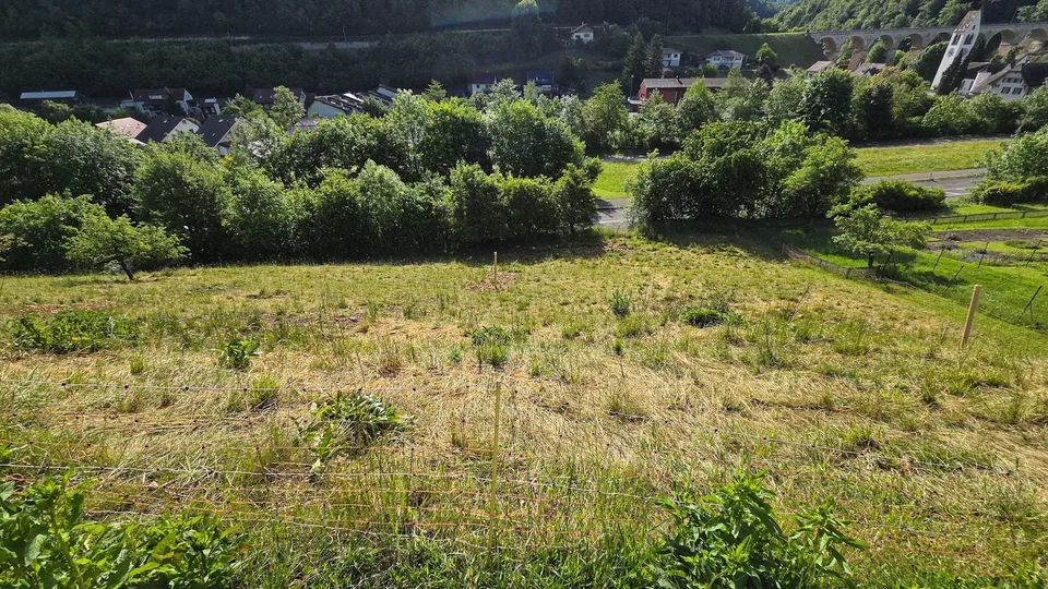 Weitsicht für Ihre Zukunft - Bauland in Rümlingen