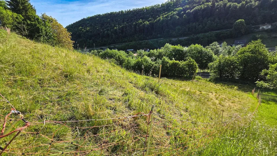 Weitsicht für Ihre Zukunft - Bauland in Rümlingen