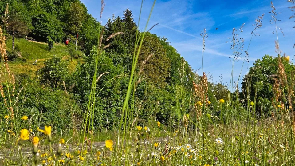 Weitsicht für Ihre Zukunft - Bauland in Rümlingen