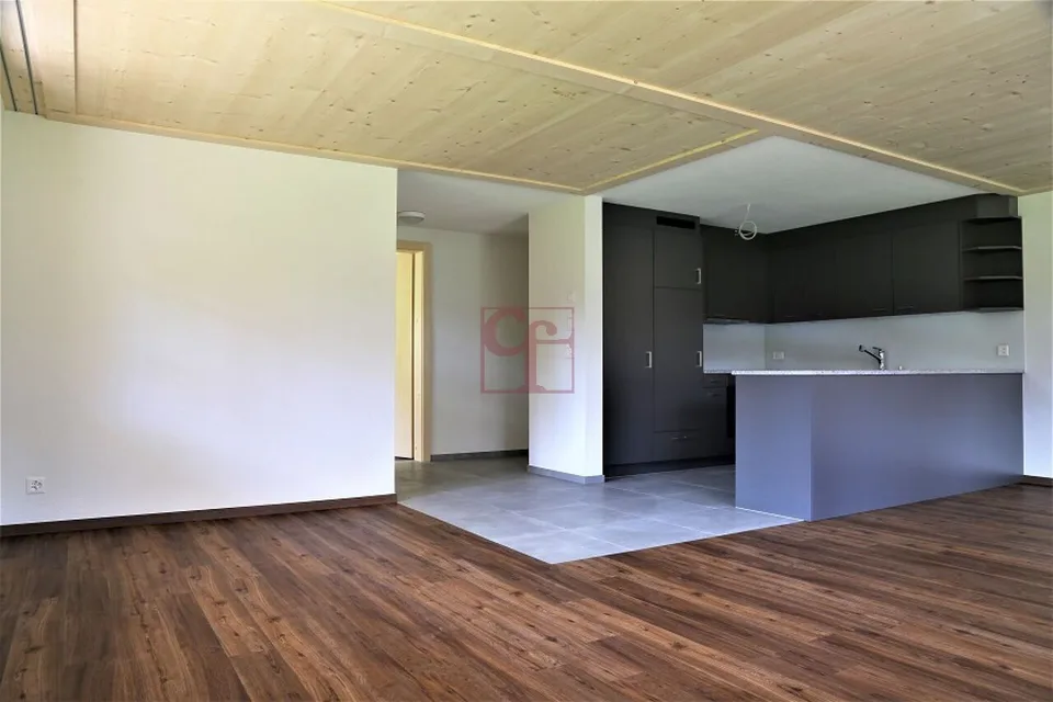 Château-d'Oex - Appartement dans cadre bucolique