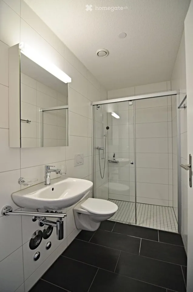 Apartment 3.5 Buchs ZH