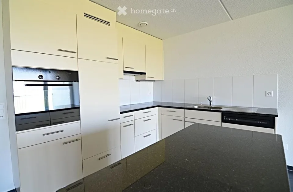 Apartment 3.5 Buchs ZH