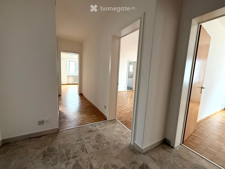 Helles 3.5-Zimmer-Apartment mit Balkon in Pregassona