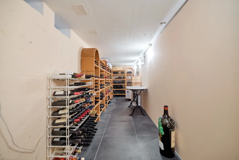LUXURIÖSE ATTIKAWOHNUNG MIT STUDIO UND WEINKELLER