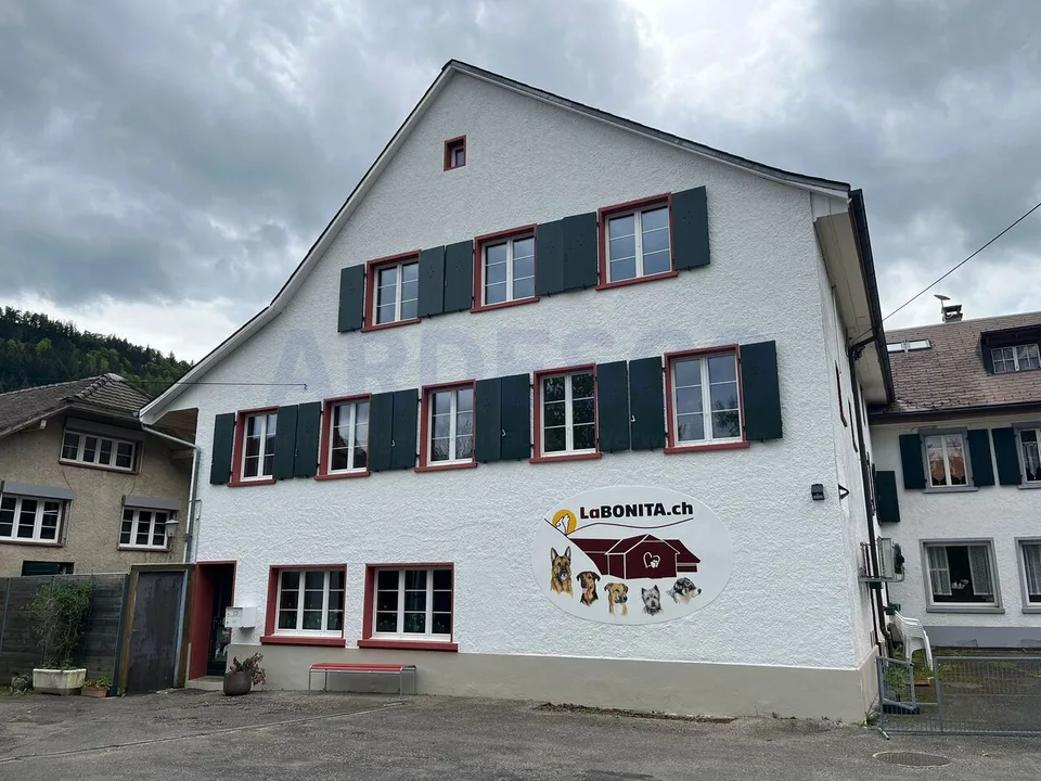 Studio für Handwerker und Allrounder im Berghaus