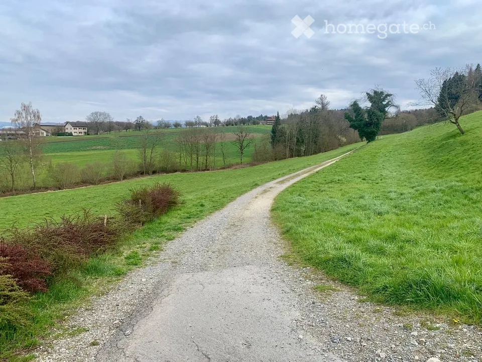 Ampio appartamento-maisonette di 6,5 locali in una casa di 2 famiglie