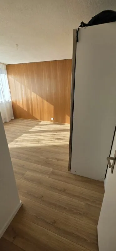 Bright, Spacious 4.5-Room Apartment