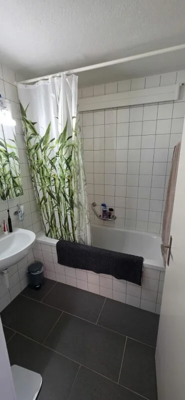 Bright, Spacious 4.5-Room Apartment