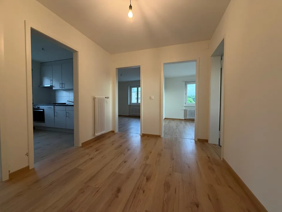 Renovierte 3.5-Zimmer-Wohnung in Zuchwil – sofort verfügbar!