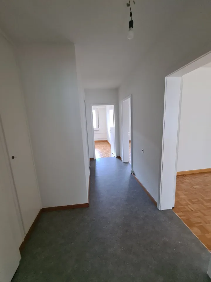 Delizioso appartamento di 3 locali con balcone a Basilea