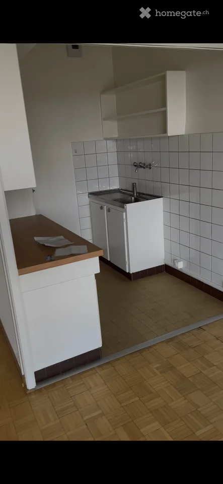 Charming 2-Room Apartment with Balcony and Stunning Views in Geneva