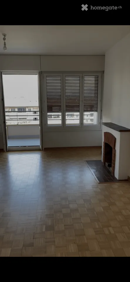 Charming 2-Room Apartment with Balcony and Stunning Views in Geneva