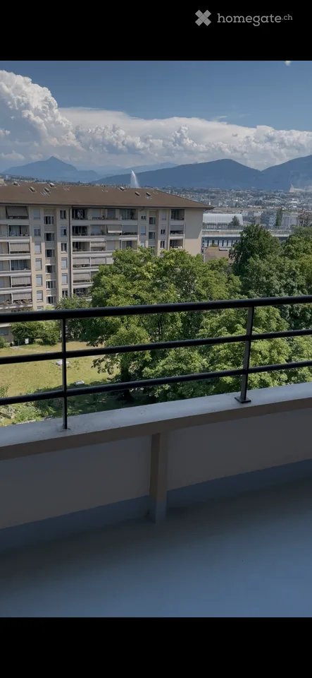 Charming 2-Room Apartment with Balcony and Stunning Views in Geneva