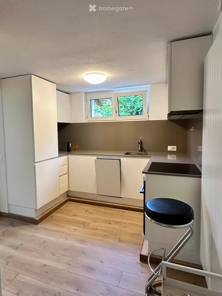 Helle 2 Zi-Wohnung mit idyllischem Gartensitzplatz in Uitikon-Waldegg zu vermieten