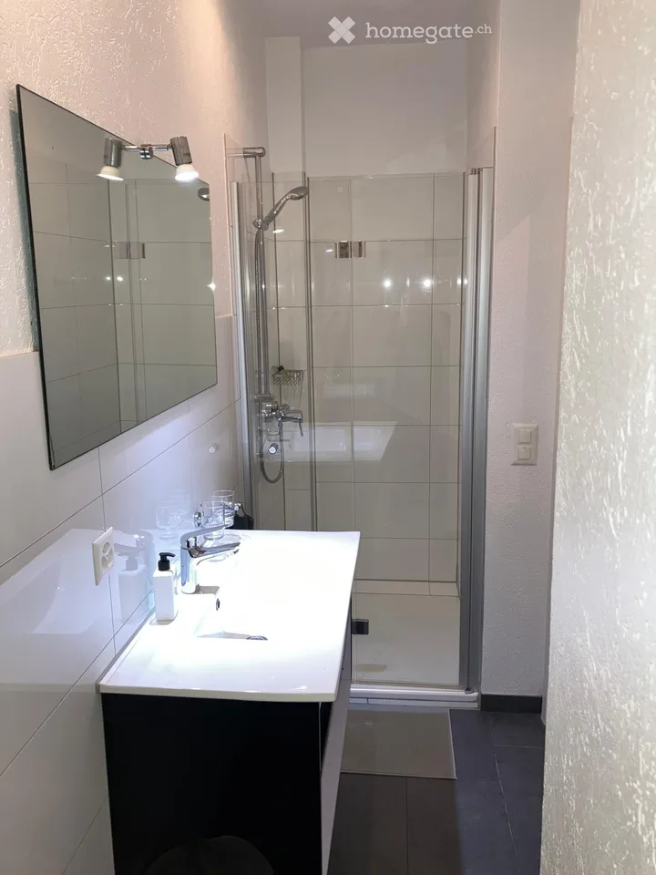 Urbanes Wohnjuwel: Charmante 2.5 Zi. Altbauwohnung mit traumhafter Terrasse am Horburgpark (Klybeck)