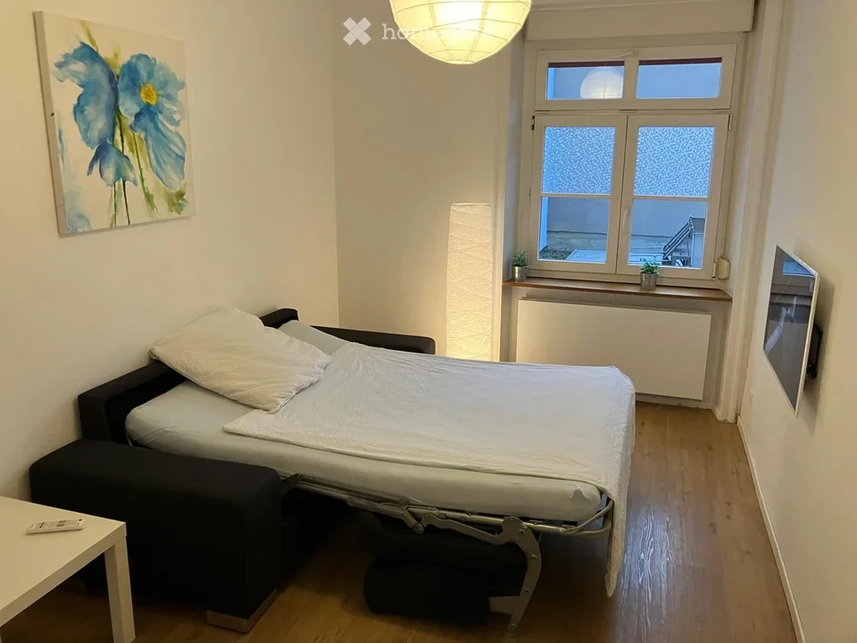 Urbanes Wohnjuwel: Charmante 2.5 Zi. Altbauwohnung mit traumhafter Terrasse am Horburgpark (Klybeck)